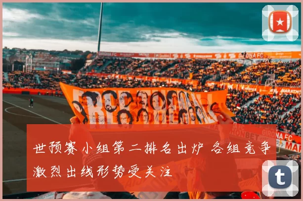 世预赛小组第二排名出炉 各组竞争激烈出线形势受关注