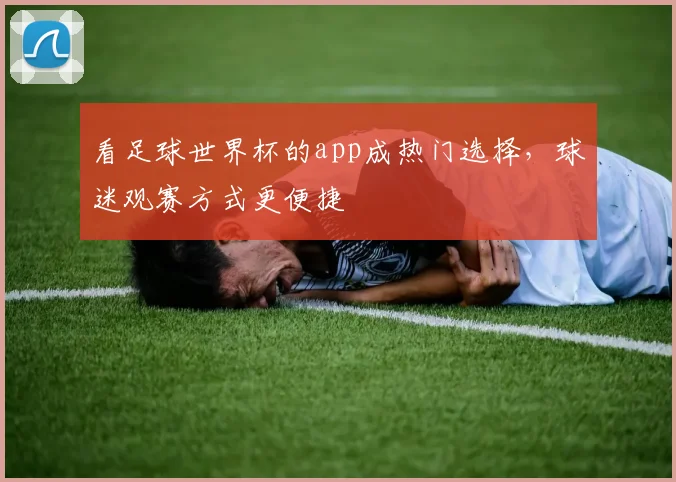 看足球世界杯的app成热门选择，球迷观赛方式更便捷