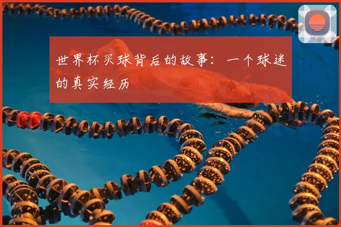 世界杯买球背后的故事:一个球迷的真实经历