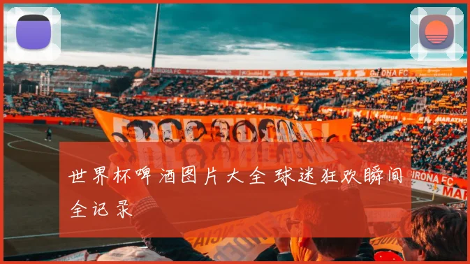 世界杯啤酒图片大全 球迷狂欢瞬间全记录