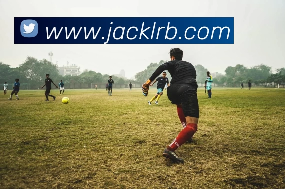 安博web版登录入口 - 安博(中国)发展历程